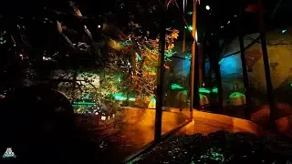 Kärleks Tunneln - POV - Gröna Lund