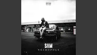 N&eacute;cropole