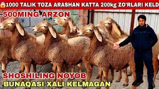 🚨Voy Dodd 500Mingda 400Ming Arzon Toza Arashan 200kg Daxshat Arashani Tozalari Keldi Shoshiling