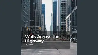Melodic Urban City
