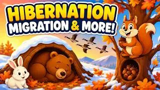 How Animals Get Ready for Winter 🐻❄️ | Fall Science for Kids | Smartie the Alpaca