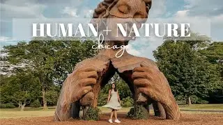 Esta es la exposición de arte de Daniel Popper más grande del mundo | The Morton Arboretum | Chicago