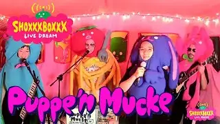 Puppe'n Mucke - SHOXXXBOXXX LIVE DREAM #18