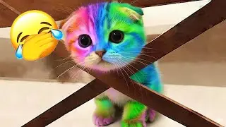 You Laugh You Lose 😹🐶 Funniest Cats and Dogs 2026 🦸 Part #01