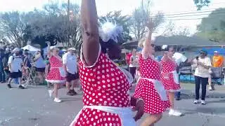 Mande Milkshakers on Mardi Gras Day 23