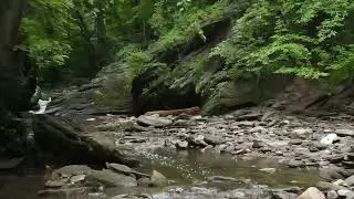 Healer Bard - Healing Cure (Meditation Music Video)