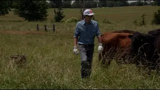 Growing The Future of Tennessee Agriculture