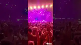 Sunny Hill Festival 2024