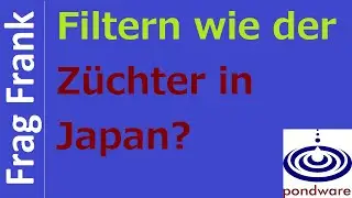Wem kann man nacheifern? @FragFrank