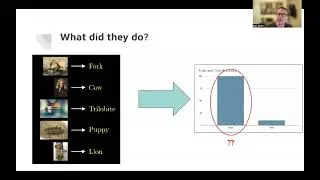 Understanding Deep Learning Requires Rethinking Generalization