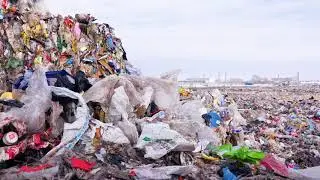Greenpeace global 