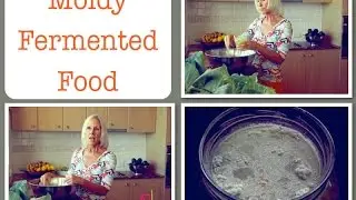 Moldy Fermented Foods