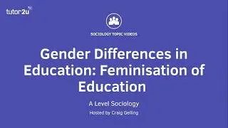 Differential Educational Achievement by Gender: Feminisation of Education