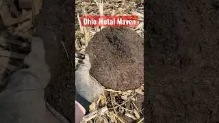 Random Find Metal Detecting the Old Ohio Homestead #dirtfishing #treasurehunting #noktalegend