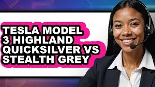 Tesla Model 3 Highland Quicksilver vs Stealth Grey - Full Comparison