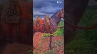 #modaoraiz