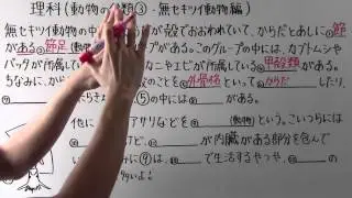 【理科】中2-32 動物の分類③・無セキツイ動物編