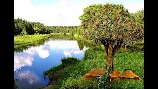 Vision: Tree Planted by Rivers of Living Water