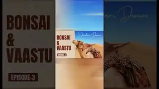 Бонсай дома? Подумайте еще раз | Информация о Васту | Исцеление Бхактамар Мантрой
