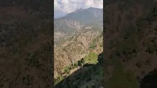 Boh Valley