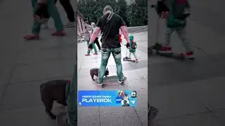 Собака сделала неожиданную концовку