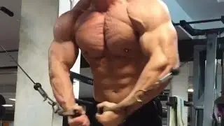 PERSIAN MONSTER REZA HOSEYNI CHEST TRAINING | CHEST WORKOUT MOTIVATION [thediacl]