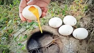 Unbelievable Fishing With Eggs Catch A Lot Of Fish Using Duck Egg
