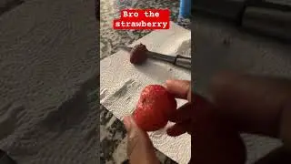 #funny #memes #soundeffects #funnyaudioclips #audiosformemes #short #stawberry