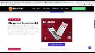 MARSCOIN PROJECT. ELON MUSK,CEO TESLA COMPANY.