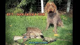 Goose Down! Wirehaired Griffon&rsquo;s First Retrieve | Alberta Duck Catch and Cook