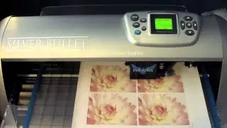 Silver Bullet Print and Cut