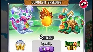 Dragon City: Bucky Dragon vs Shelly Dragon [EXCLUSIVE BREEDING] 😱