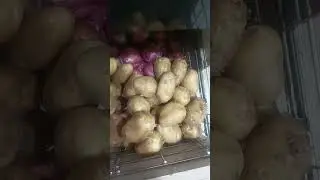 aalu kitne rupaye kilo #food