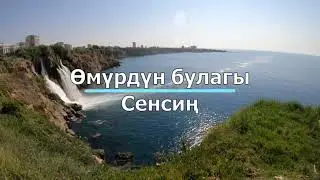Өмүрдүн булагы  Сенсиң