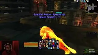 Memory of Scholomance guide!