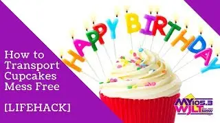 How to Transport Cupcakes Mess-Free [LIFEHACK]