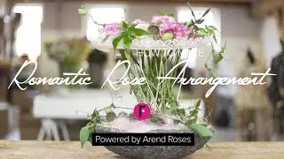 Dolce Avalanche+ & Freaky Avalanche+ | Arend Roses | Flower Factor