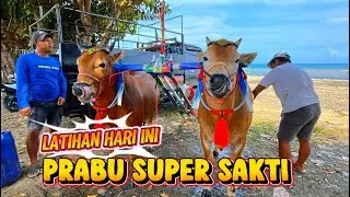 Latihan hari ini Super prabu sakti menjelang HUT DRT Sumenep