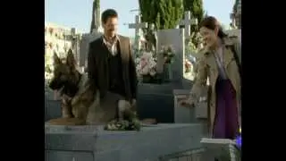 Los misterios de Laura Perros de cine