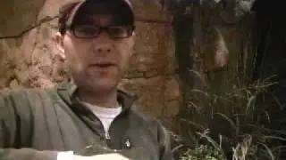 Recycled Fish On Ice Tour Wrap.mov