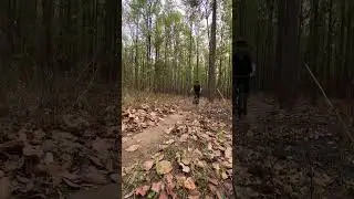 Small jump in our local trail #rap #freestyle #rapmusic #mtb #stunt #downhill #mountianbiking #bmx