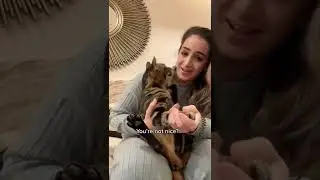 ЧЕЙЗ УМЕЕТ ПРОЩАТЬ 🥰 #шорты