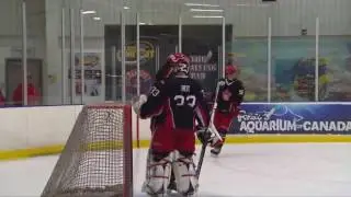 GTHL Hockey Highlights - Toronto Young Nationals vs Jr. Canadiens