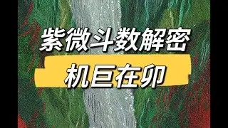 紫微斗数解密｜机巨在卯