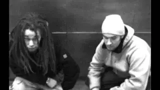 Srkkpjt - H&auml; (mit&auml; aiot teh&auml;)
