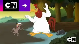 DONINHANDO | LOONEY TUNES CARTOONS | CARTOON NETWORK
