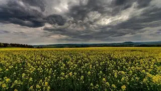 Cyan Squad - Summer Darkness (Gloomy Melodic Deep House & Techno Mix)