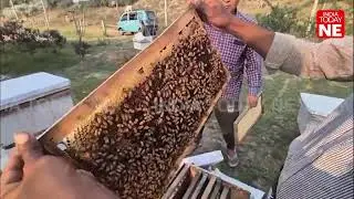 From classroom to apiary: Assam teacher’s four years of beekeeping journey inspires youth