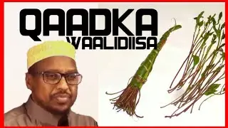 WAALIDA QAADKA: SHEEKH MUSTAFE