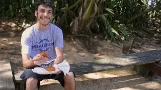 BOOKER TRAVELS - The Best of Puerto Rico